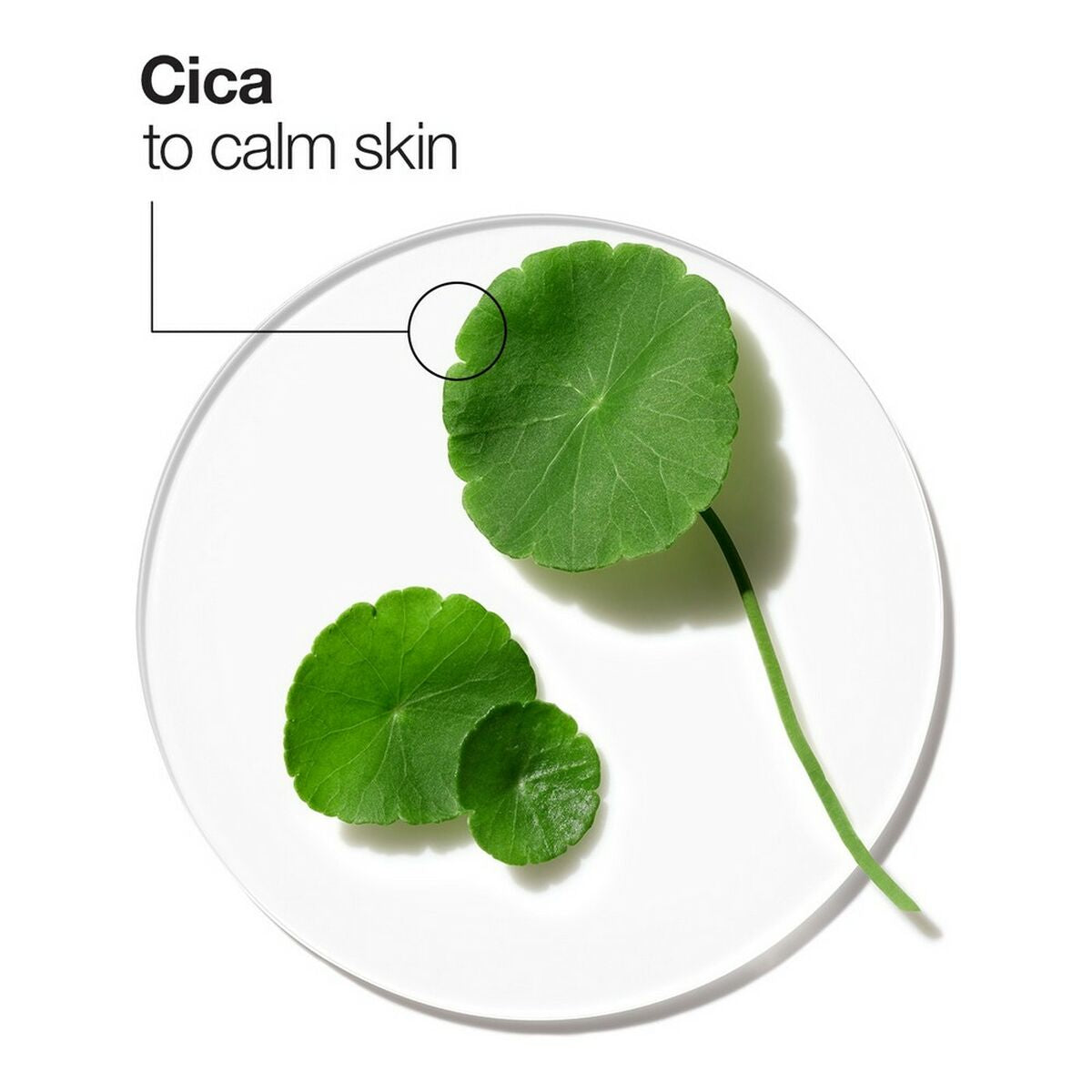 Facial Cream Moisture Surge Intense Clinique (50 ml) - Clinique Maroc - Aylal Beauty Facial Cream Moisture Surge Intense Clinique (50 ml) - Clinique Maroc - Aylal Beauty