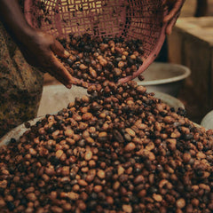 Cleansing Lotion Karite 200 ml - L'Occitane En Provence Maroc - Aylal Beauty