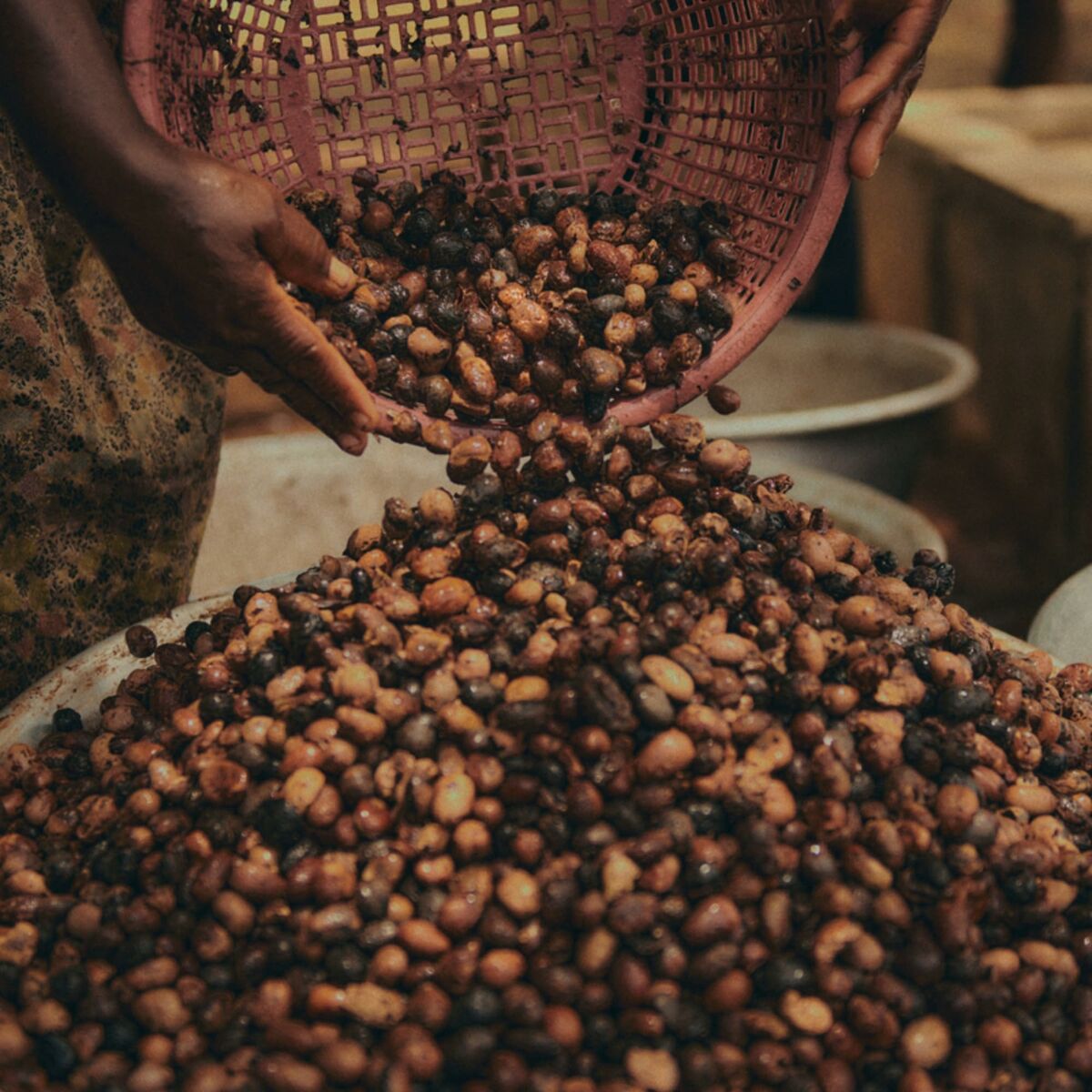 Micellar Water Karite 200 ml - L'Occitane En Provence Maroc - Aylal Beauty Micellar Water Karite 200 ml - L'Occitane En Provence Maroc - Aylal Beauty