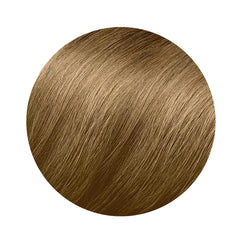 Permanent Colour Phyto Paris Color 8.3-light golden blonde 3 Pieces - Phyto Paris Maroc - Aylal Beauty