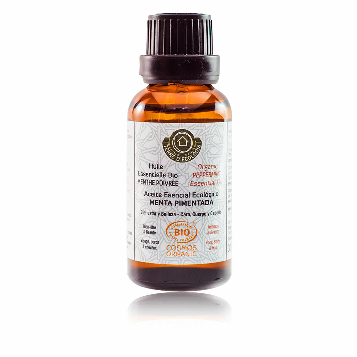 Essential oil Mint 30 ml - Terre d'Ecologis Maroc - Aylal Beauty