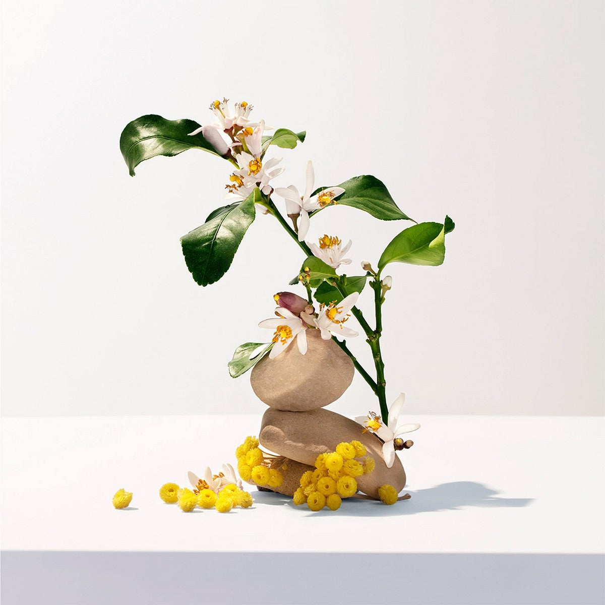 Shower Gel Néroli (200 ml) - Roger & Gallet Maroc - Aylal Beauty Shower Gel Néroli (200 ml) - Roger & Gallet Maroc - Aylal Beauty