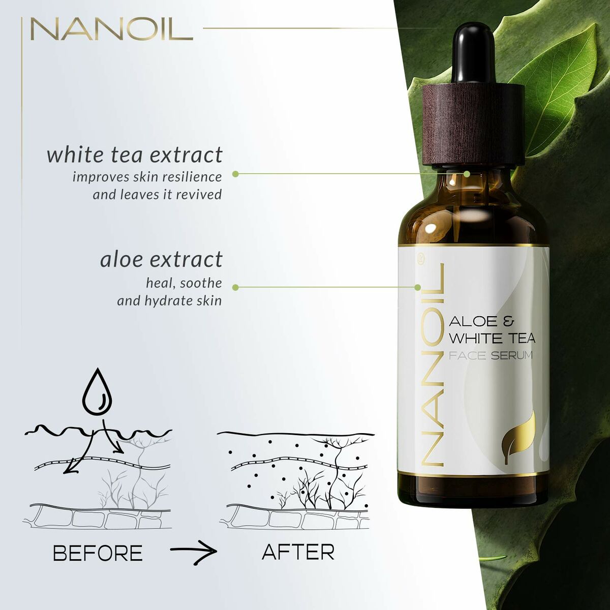 Antioxidant Serum (50 ml) - Nanoil Maroc - Aylal Beauty Antioxidant Serum (50 ml) - Nanoil Maroc - Aylal Beauty