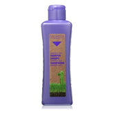 Deep Cleaning Shampoo Biokera Grapeology Salerm (300 ml) - Salerm Maroc - Aylal Beauty