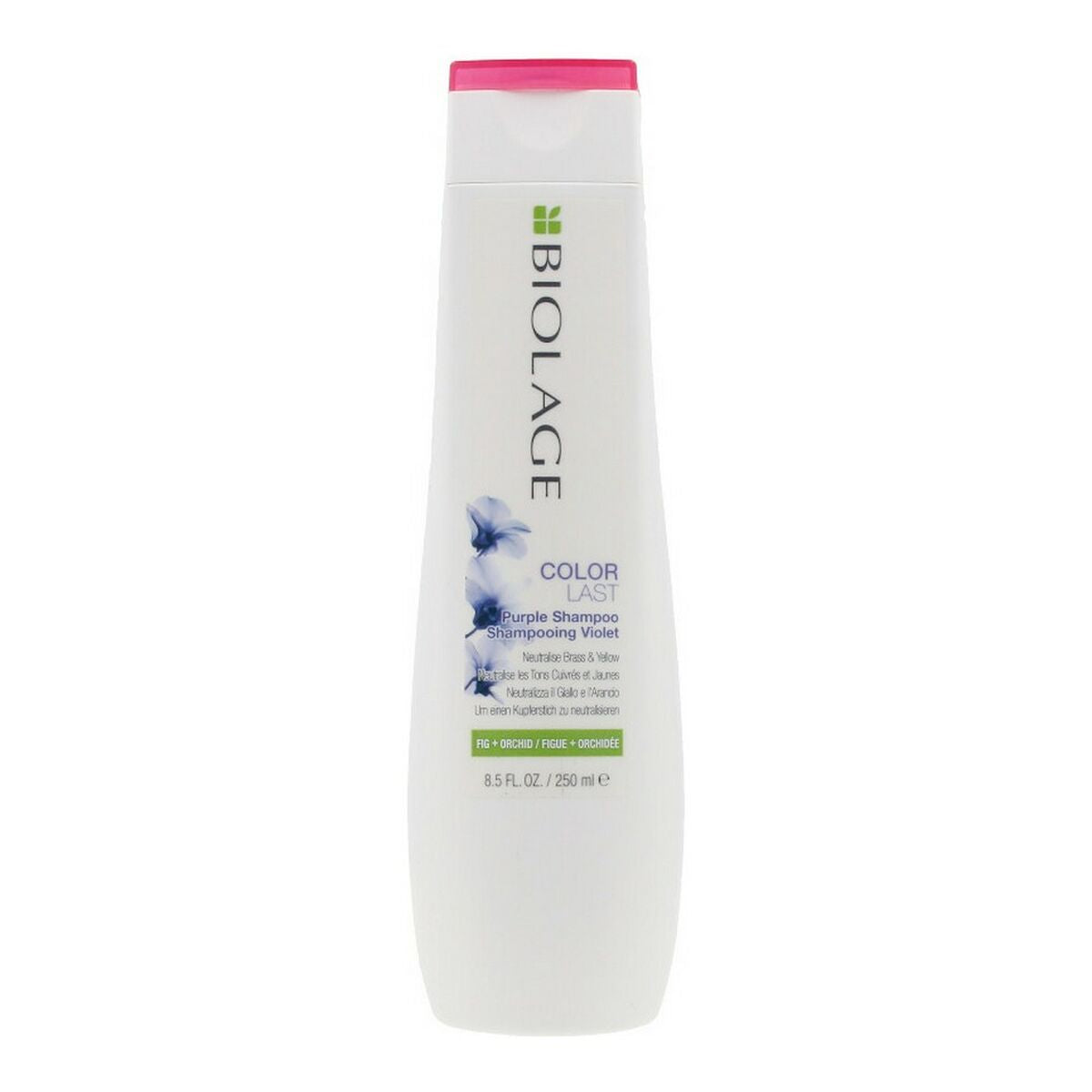 Tinting Shampoo for Blonde hair Biolage Colorlast Purple 250 ml - Biolage Maroc - Aylal Beauty