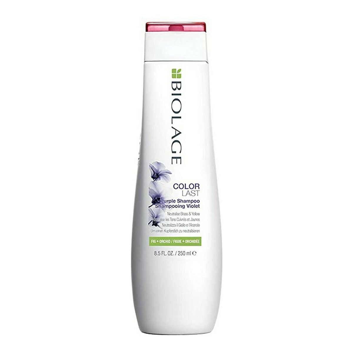 Tinting Shampoo for Blonde hair Biolage Colorlast Purple 250 ml - Biolage Maroc - Aylal Beauty