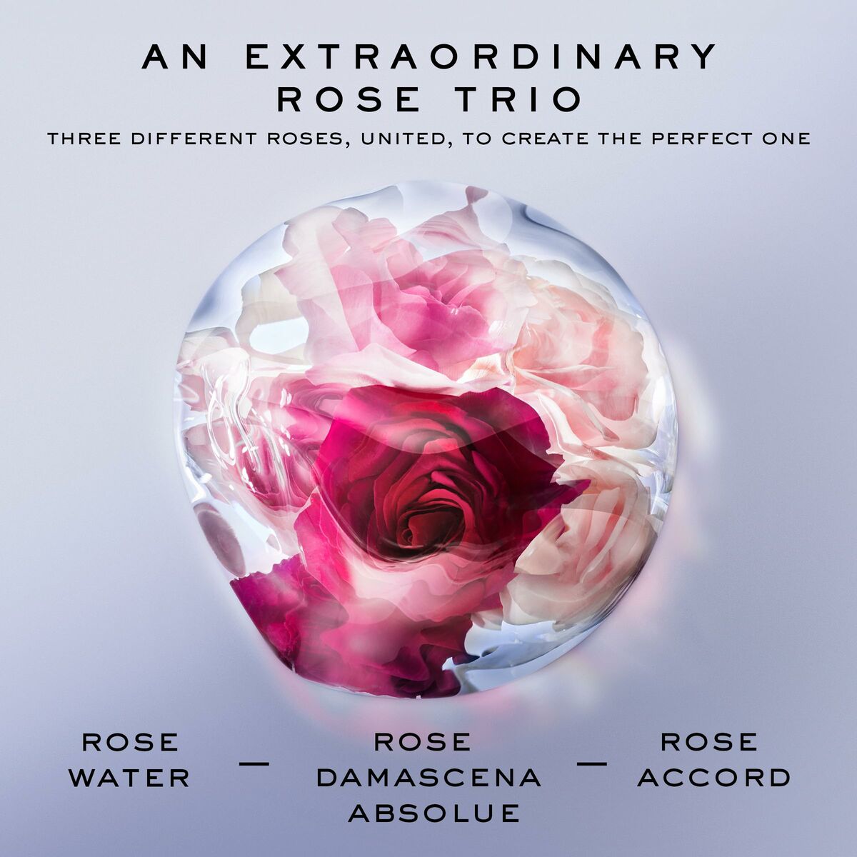 Women's Perfume Lancôme La Vie Est Belle Rose Extraordinaire EDP EDP 100 ml - Lancôme Maroc - Aylal Beauty