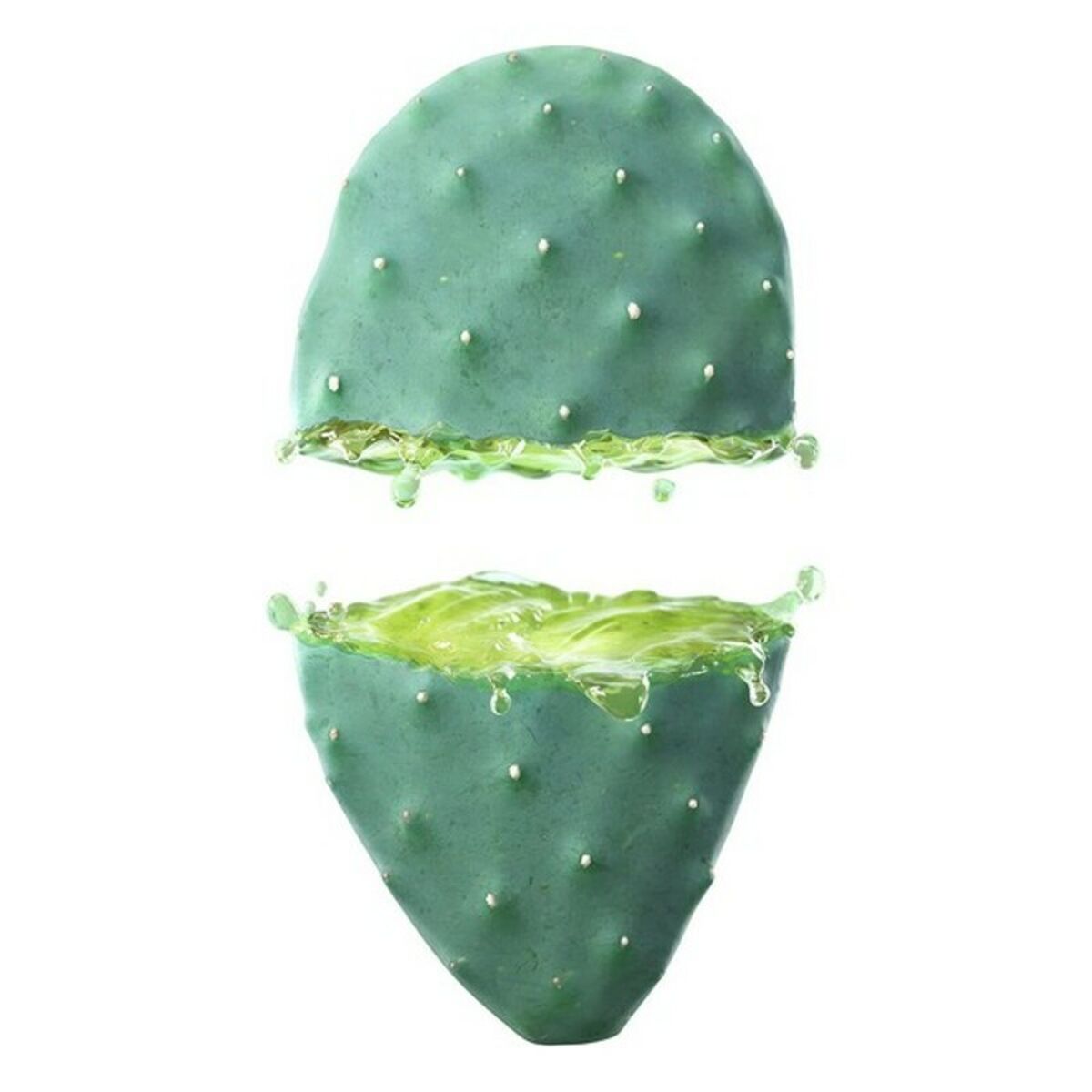 Hydrating Facial Cream Cactus Opuntia 24h (30 ml) - Weleda Maroc - Aylal Beauty