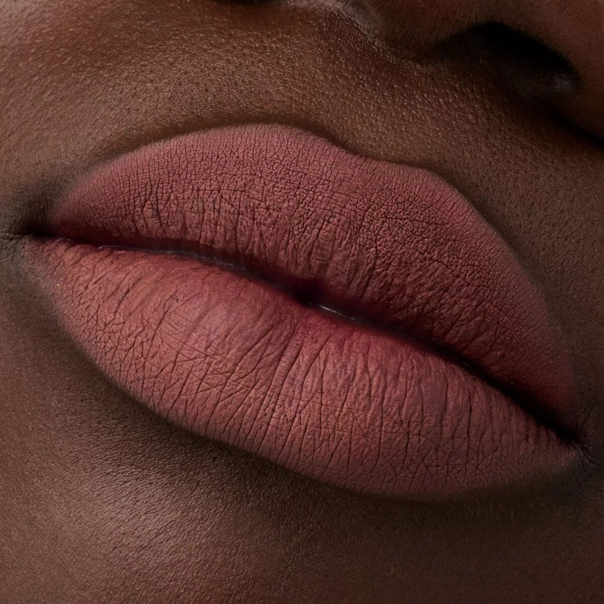 Lip Liner Plumping Nº 069 Mainhattan 0,35 g - Catrice Maroc - Aylal Beauty