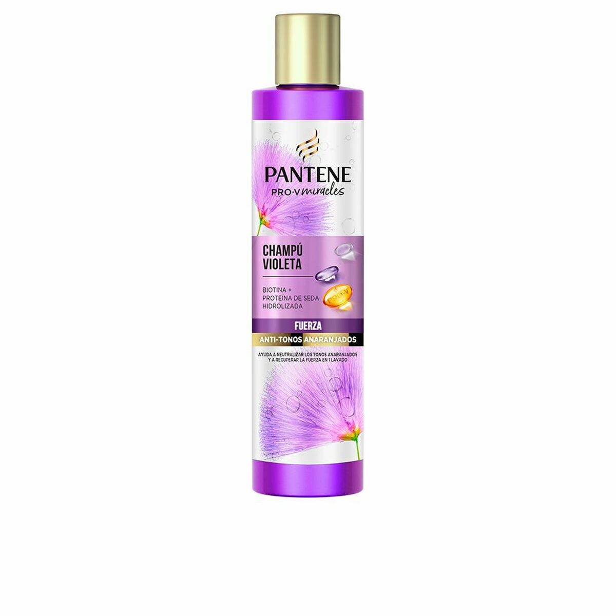 Shampoo Miracle Violeta 225 ml - Pantene Maroc - Aylal Beauty