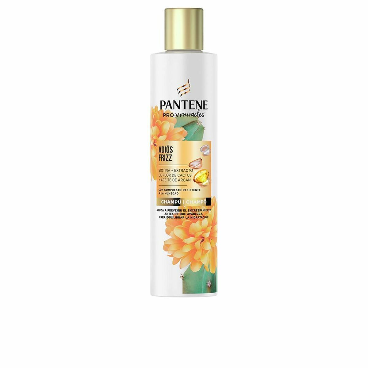 Anti-Frizz Shampoo Miracle Adios Frizz 225 ml - Pantene Maroc - Aylal Beauty