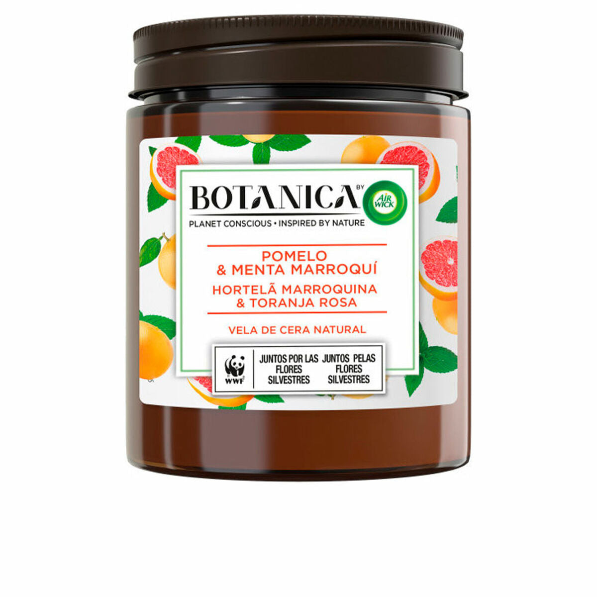 Scented Candle Botanica Mint Grapefruit 205 g - Air Wick Maroc - Aylal Beauty