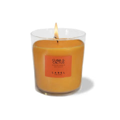 Scented Candle Guava Cactus 220 g - Label Maroc - Aylal Beauty