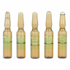 Ampoules Endoncare Tensage Regenerative (10 x 2 ml) - Endocare Maroc - Aylal Beauty