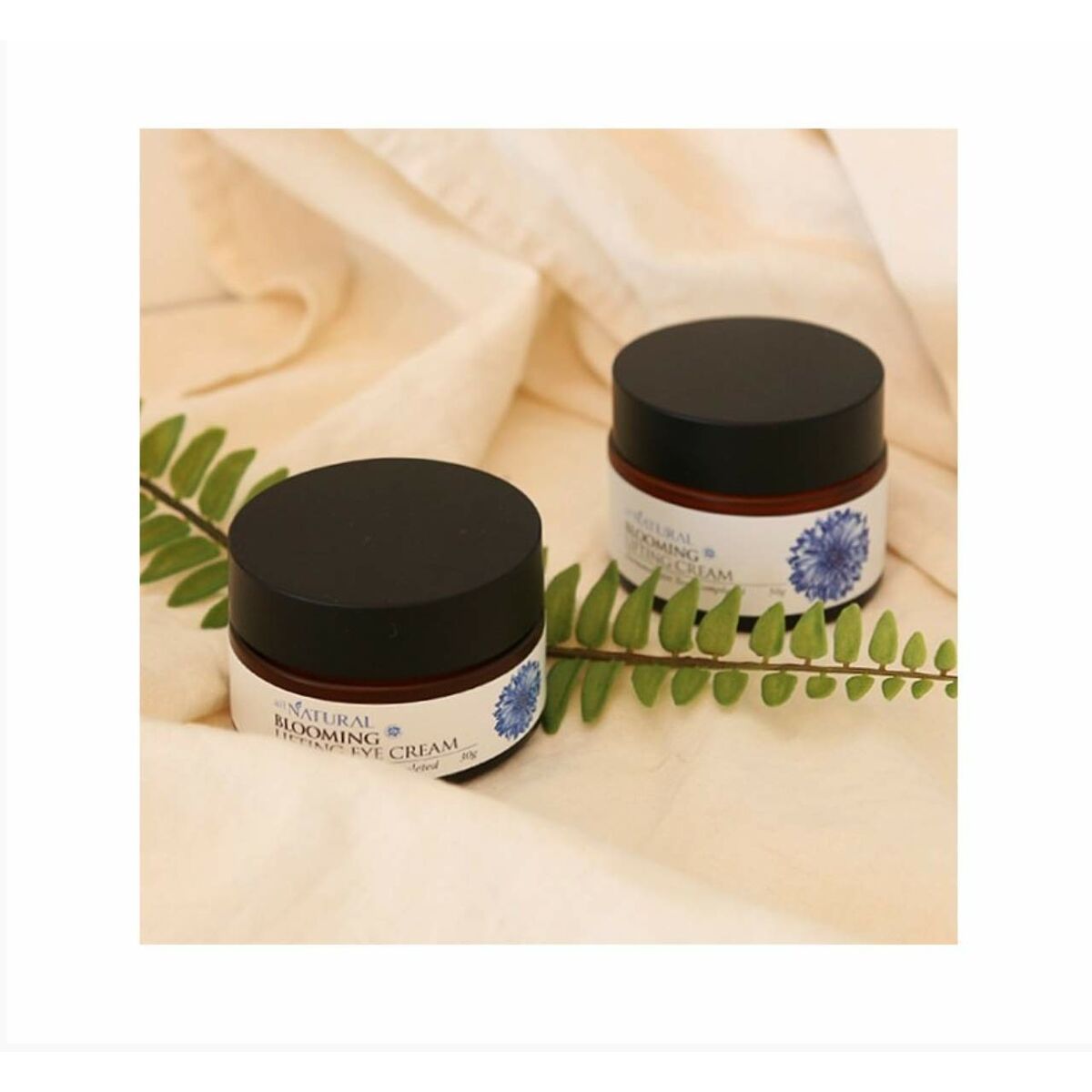 Anti-Wrinkle Cream ANBLCR 50 g - All Natural Maroc - Aylal Beauty